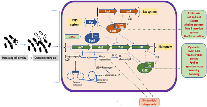 FIGURE 3