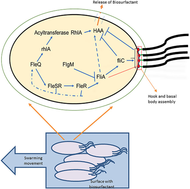 FIGURE 4