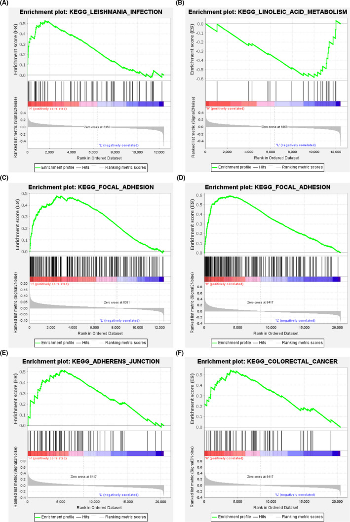 FIGURE 10