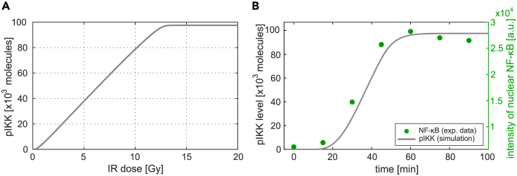 Figure 2