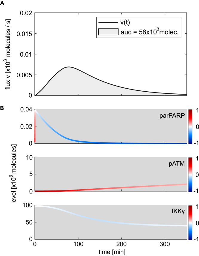 Figure 5