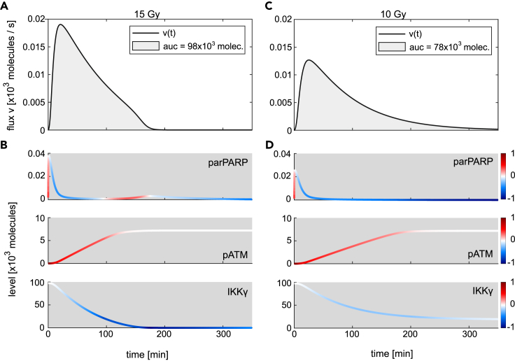 Figure 4