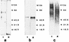 FIG. 5.