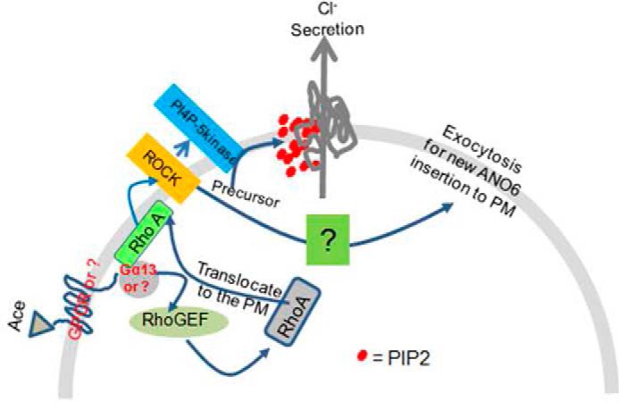 FIGURE 11.