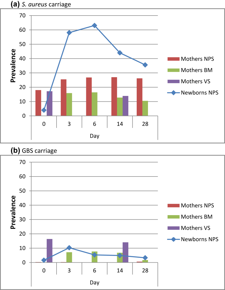 Fig. 1