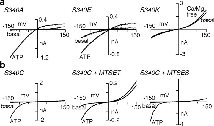 Figure 7.