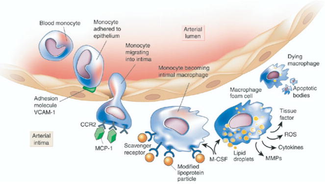 FIG 1