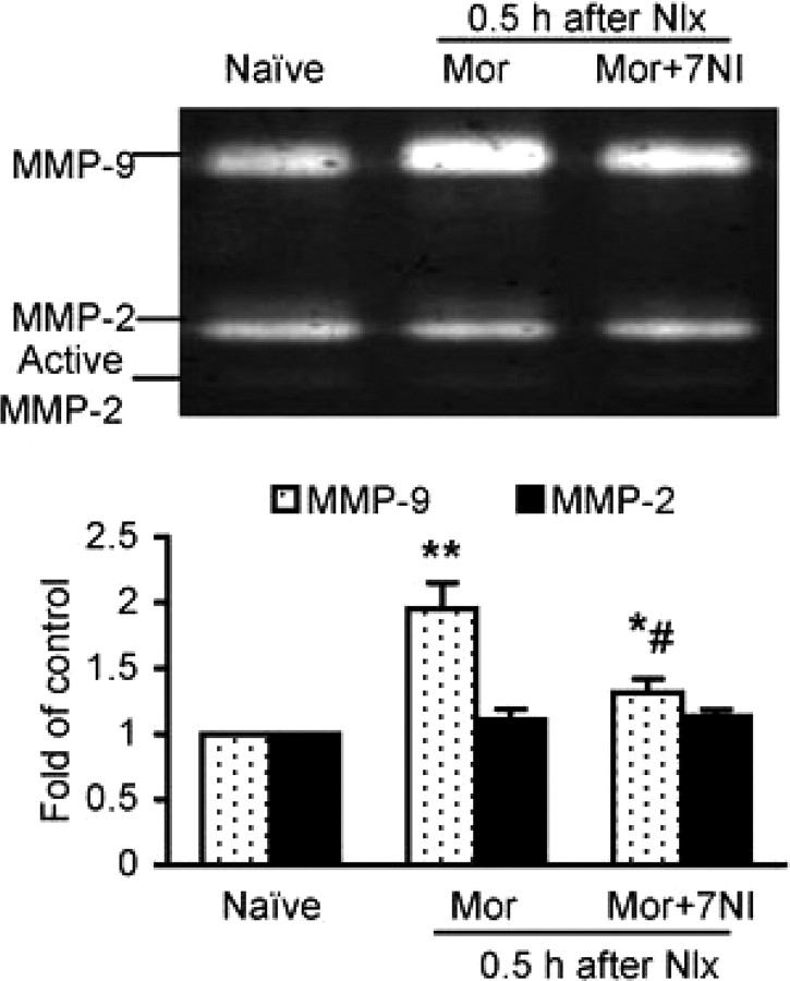 Figure 10.