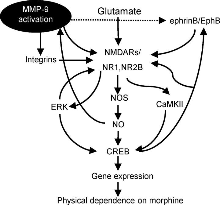 Figure 12.