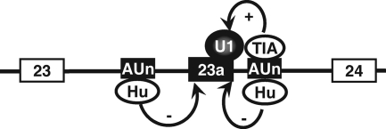 FIG. 9.