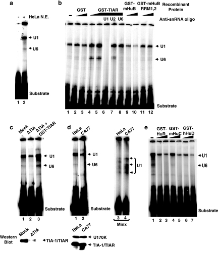 FIG. 7.