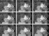 Figure 13.