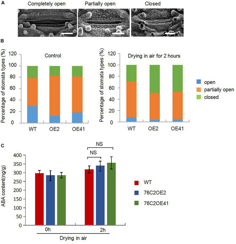 FIGURE 6