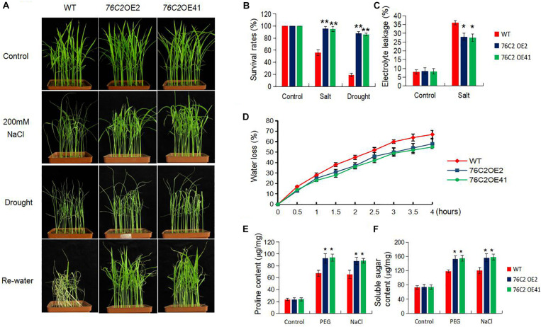 FIGURE 4