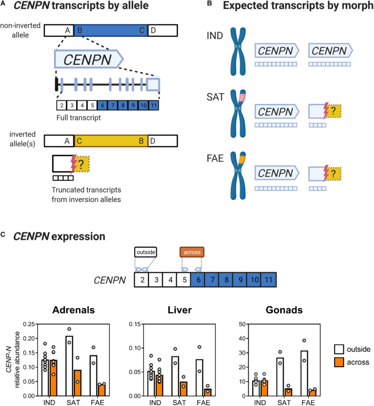 FIGURE 2