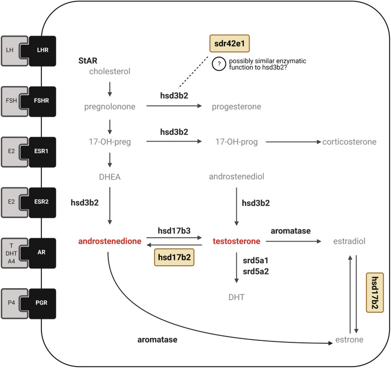 FIGURE 4