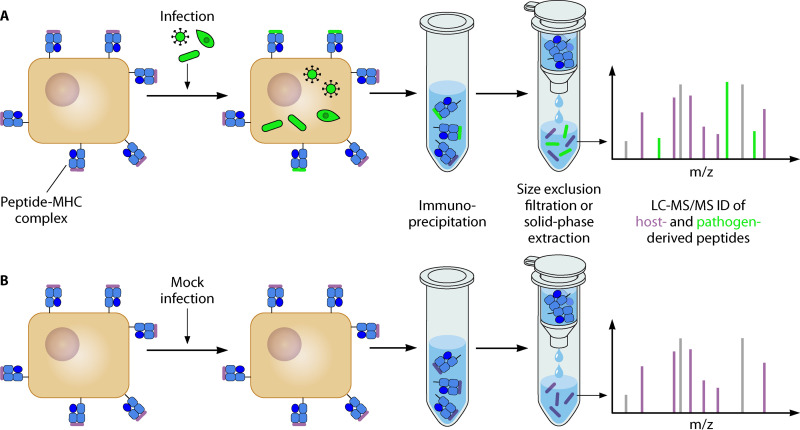 FIG 1