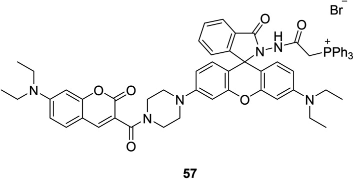 Fig. 43