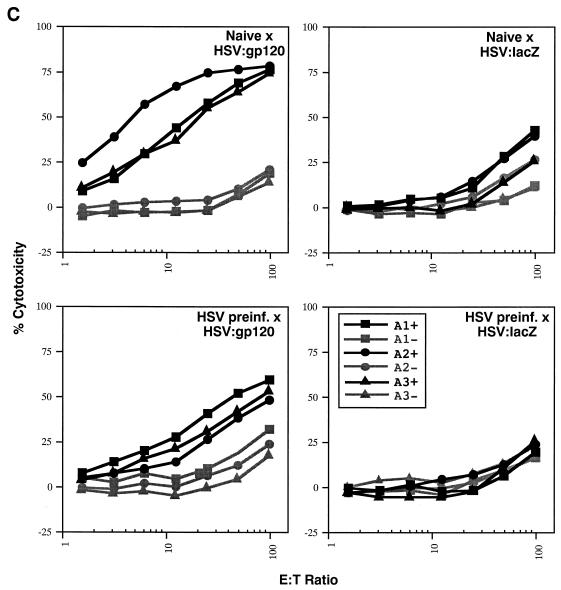 FIG> 8.