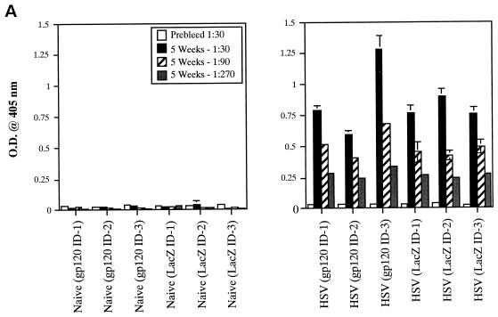 FIG> 8.