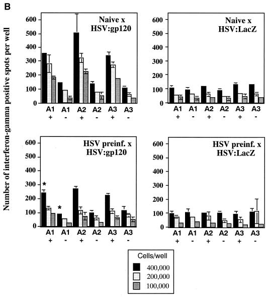 FIG> 8.