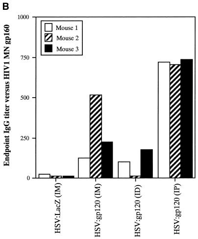 FIG. 5.