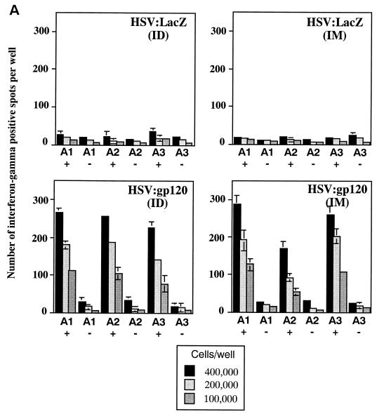 FIG. 6.