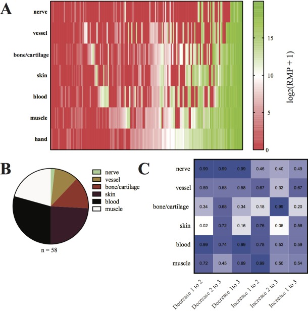 Figure 5—figure supplement 1.