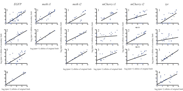 Figure 1—figure supplement 1.