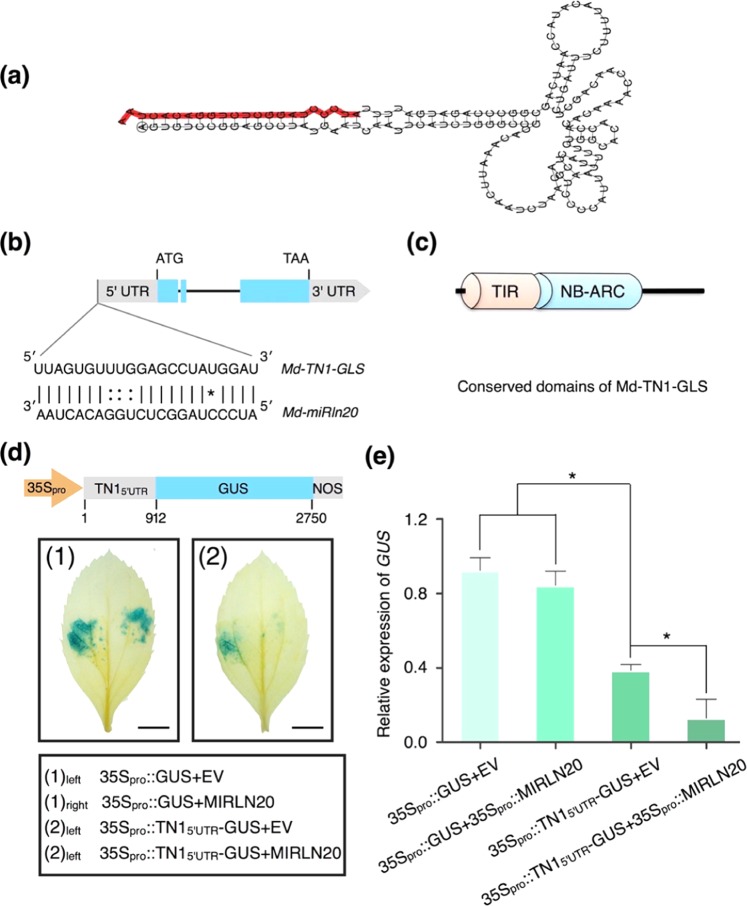 Fig. 4