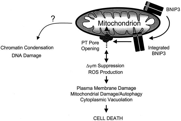 FIG. 11