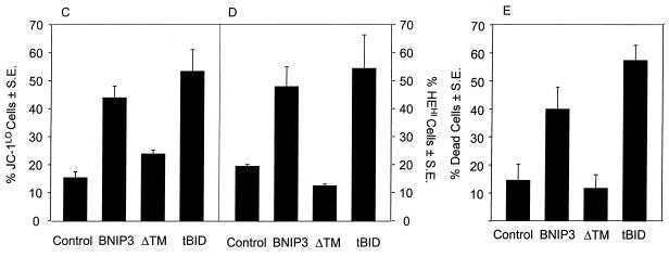 FIG. 9