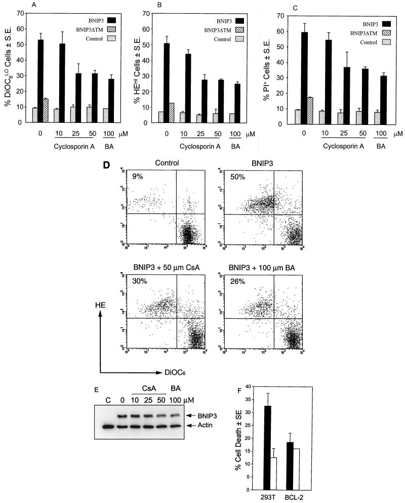 FIG. 10