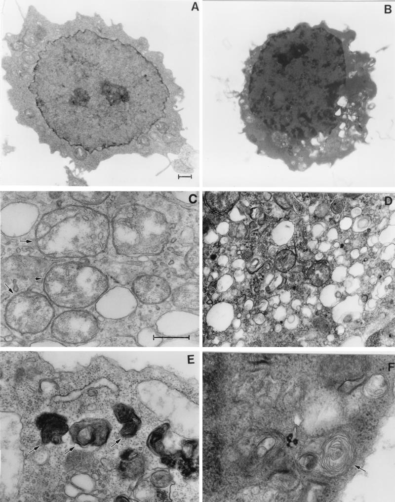 FIG. 8