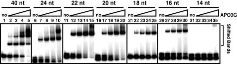 FIG. 4.