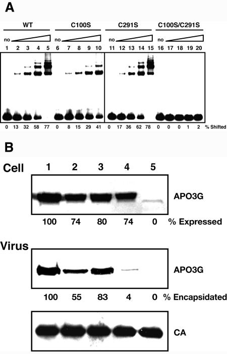 FIG. 6.