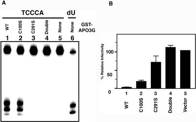 FIG. 7.