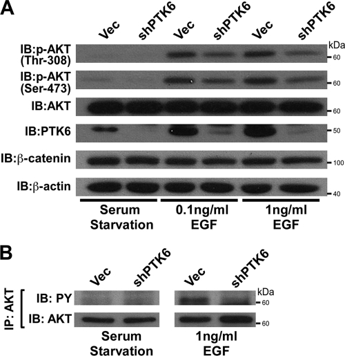 FIG. 8.