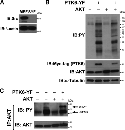 FIG. 5.