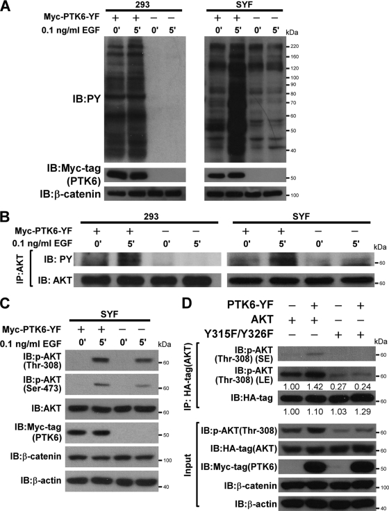 FIG. 7.