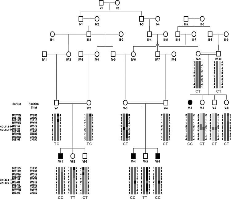 FIG. 1.