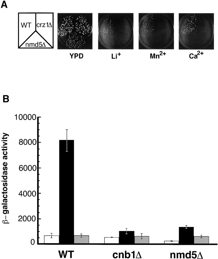 Figure 3.