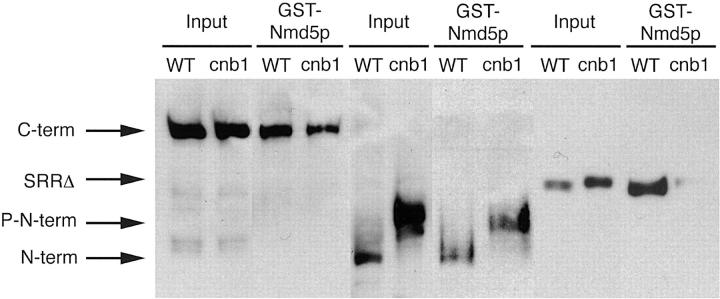 Figure 5.