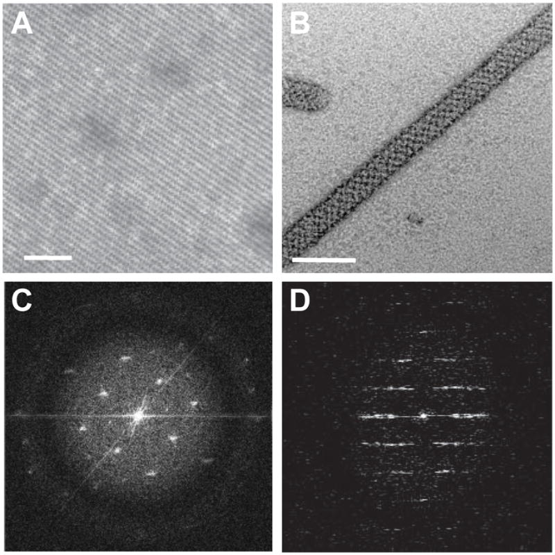 Fig. 5