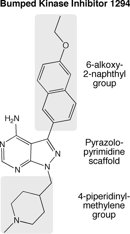 FIG 1