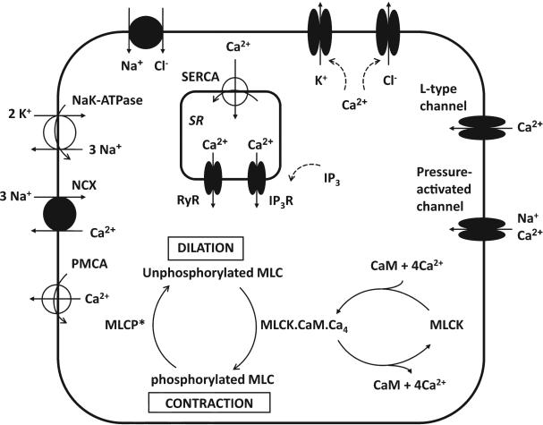 Figure 10