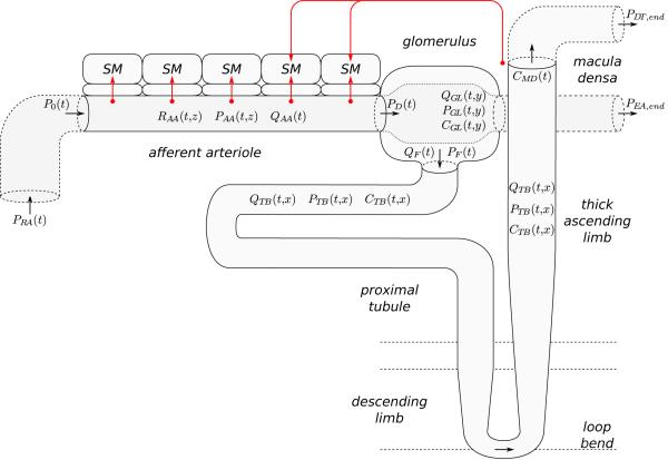 Figure 16