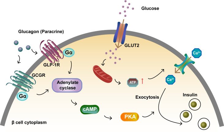 Figure 2