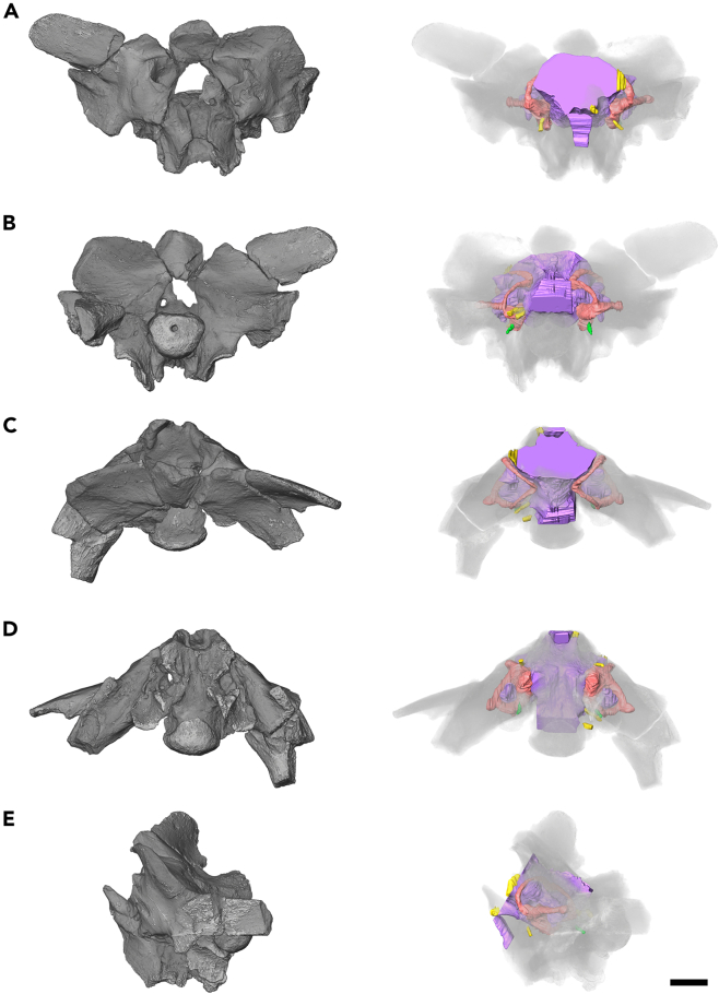 Figure 1