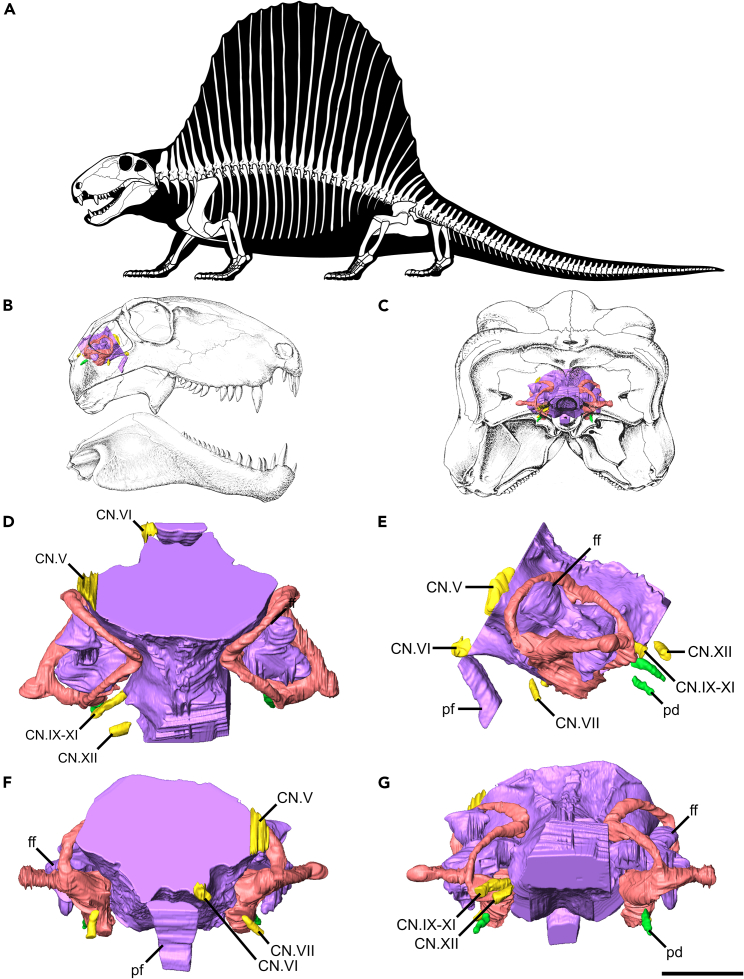 Figure 2